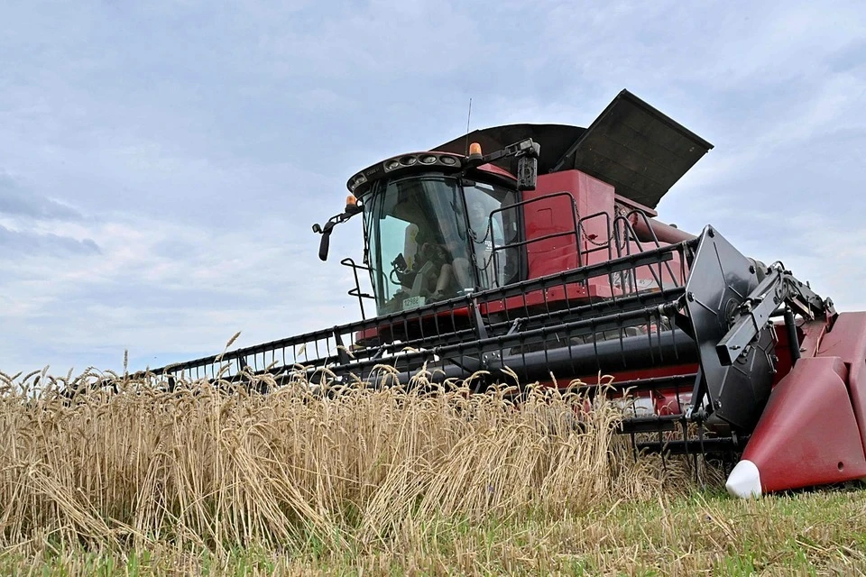 Польша подготовила ультиматум о продлении эмбарго на импорт зерна с Украины