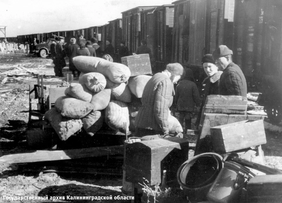 Пожалуй, самое известное фото эшелона переселенцев, прибывших в Калининградскую область.
