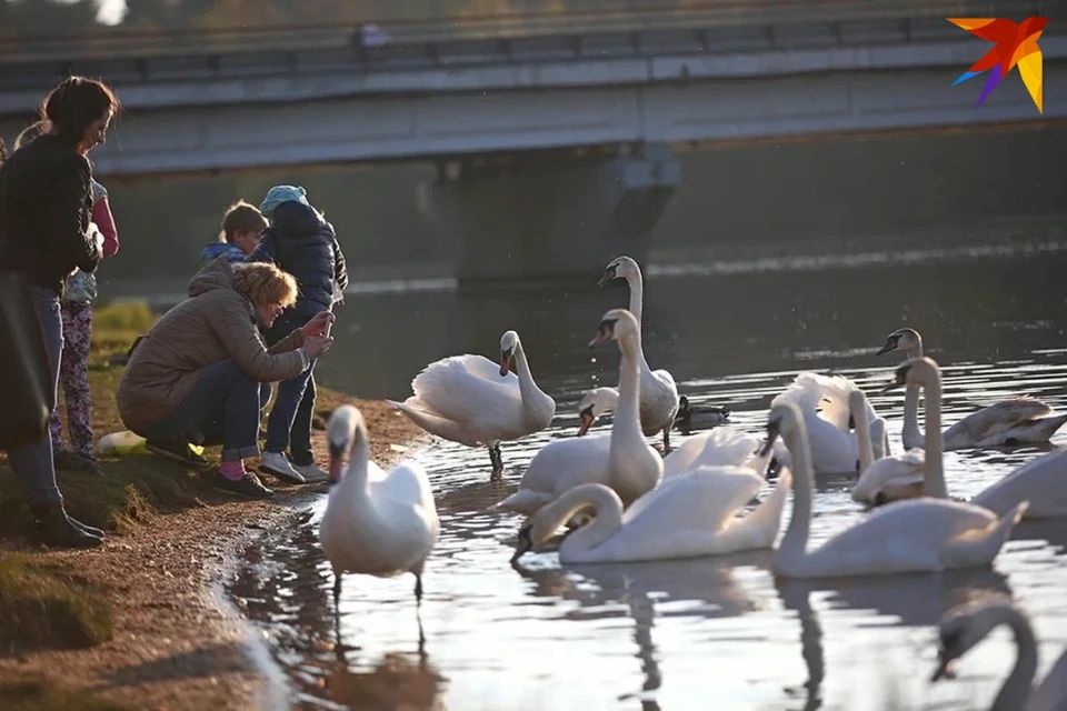 Что можно и нельзя делать в Людмилин день 29 сентября.