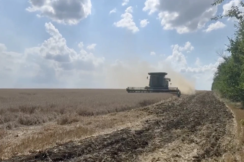 Специалисты очистили от ВОП свыше трех тысяч гектаров полей в ДНР (архивное фото)