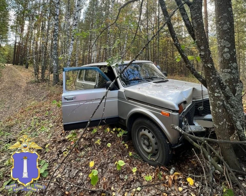 В Ульяновской области водитель «Нивы» не справился с управлением и врезался в дерево. Фото ГИБДД УО