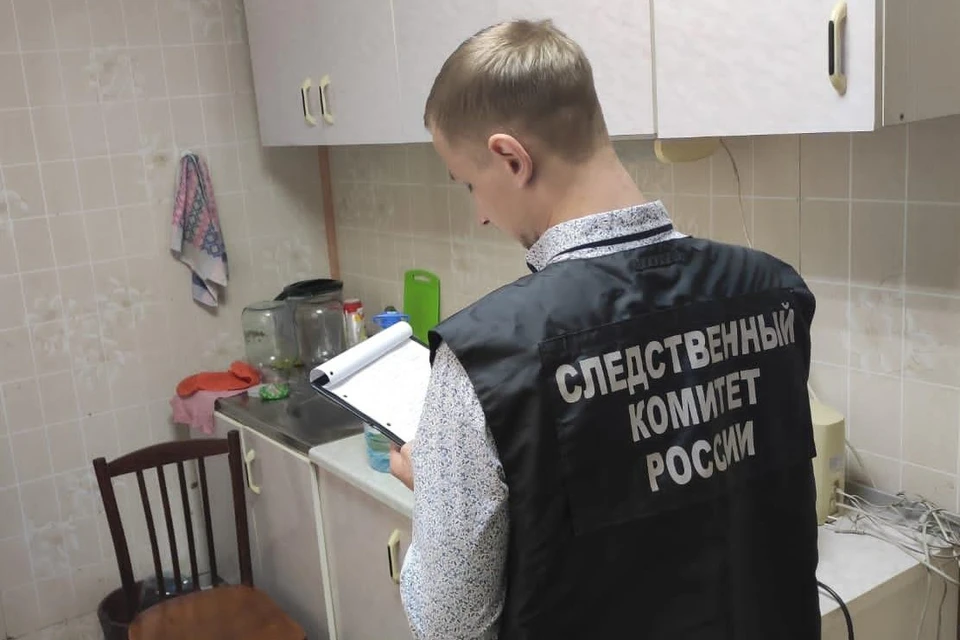 Материалы уголовного дела направлены в суд
