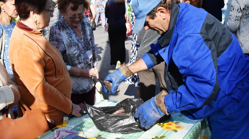 Когда будет ярмарка в астрахани. Сельскохозяйство астрахань сельскохозяйственная ярмарка. Сельскохозяйственная ярмарка. Астраханская ярмарка. Сельское хозяйство астрахани.