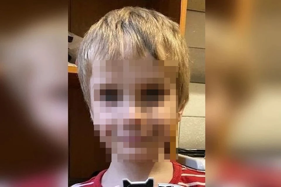 В Новосибирске завершены поиски 7-летнего мальчика в камуфляжной футболке. Фото: "ЛизаАлерт НСО"
