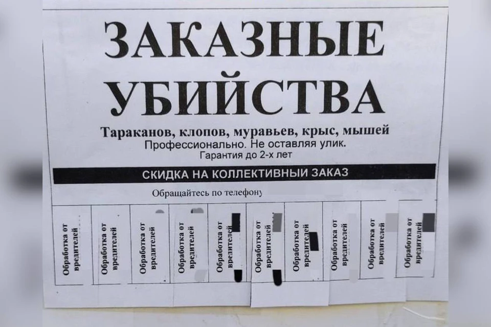 Фото: телеграм-канал/Главный по новостям Тольятти