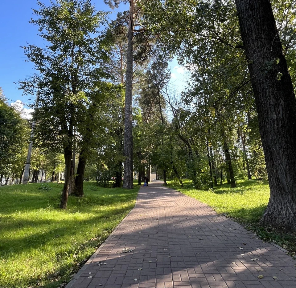Ветер обещают слабый, до 3 м/с.