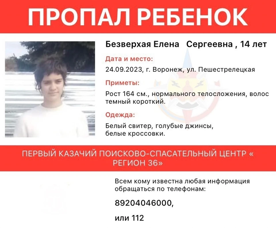 Ориентировка волонтеров