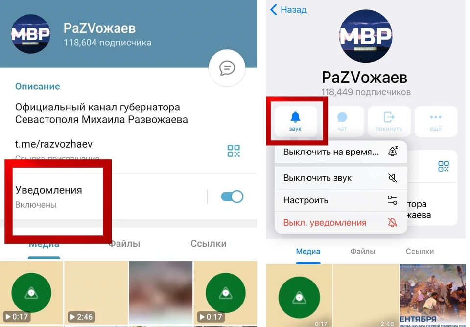 Губернатор Севастополя пояснил, как подключиться к уведомлениям его Телеграм-канала. Фото: ТК Развожаев