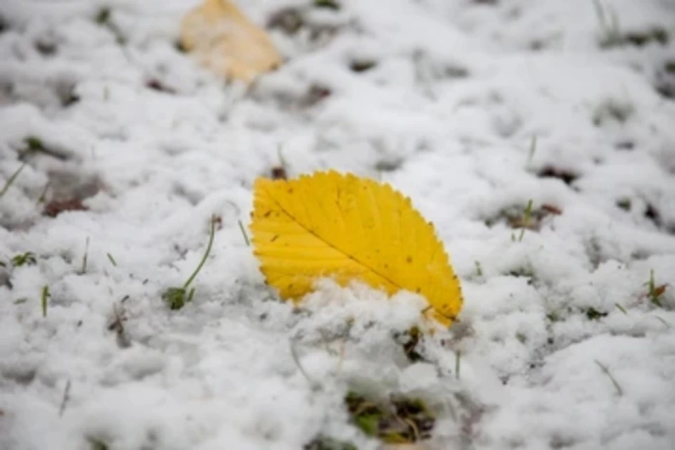 Первый снег в Новосибирске может выпасть 1 октября.