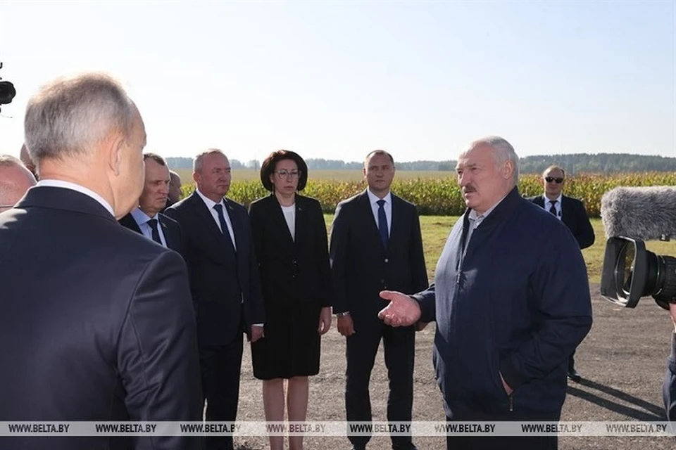 Президент Беларуси Александр Лукашенко считает, что нужно больше уделить внимания агрогородкам. Фото: БелТА