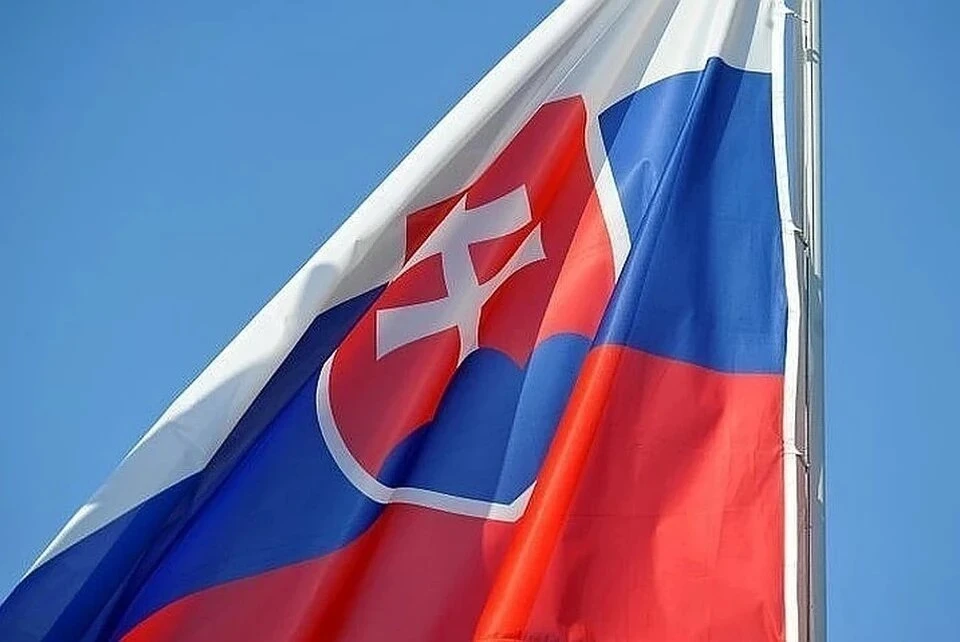 Либеральная партия «Прогрессивная Словакия» победила на парламентских выборах
