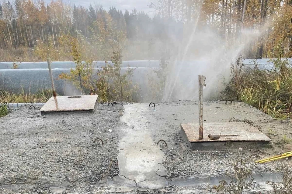 Фото: Сургутские городские электрические сети