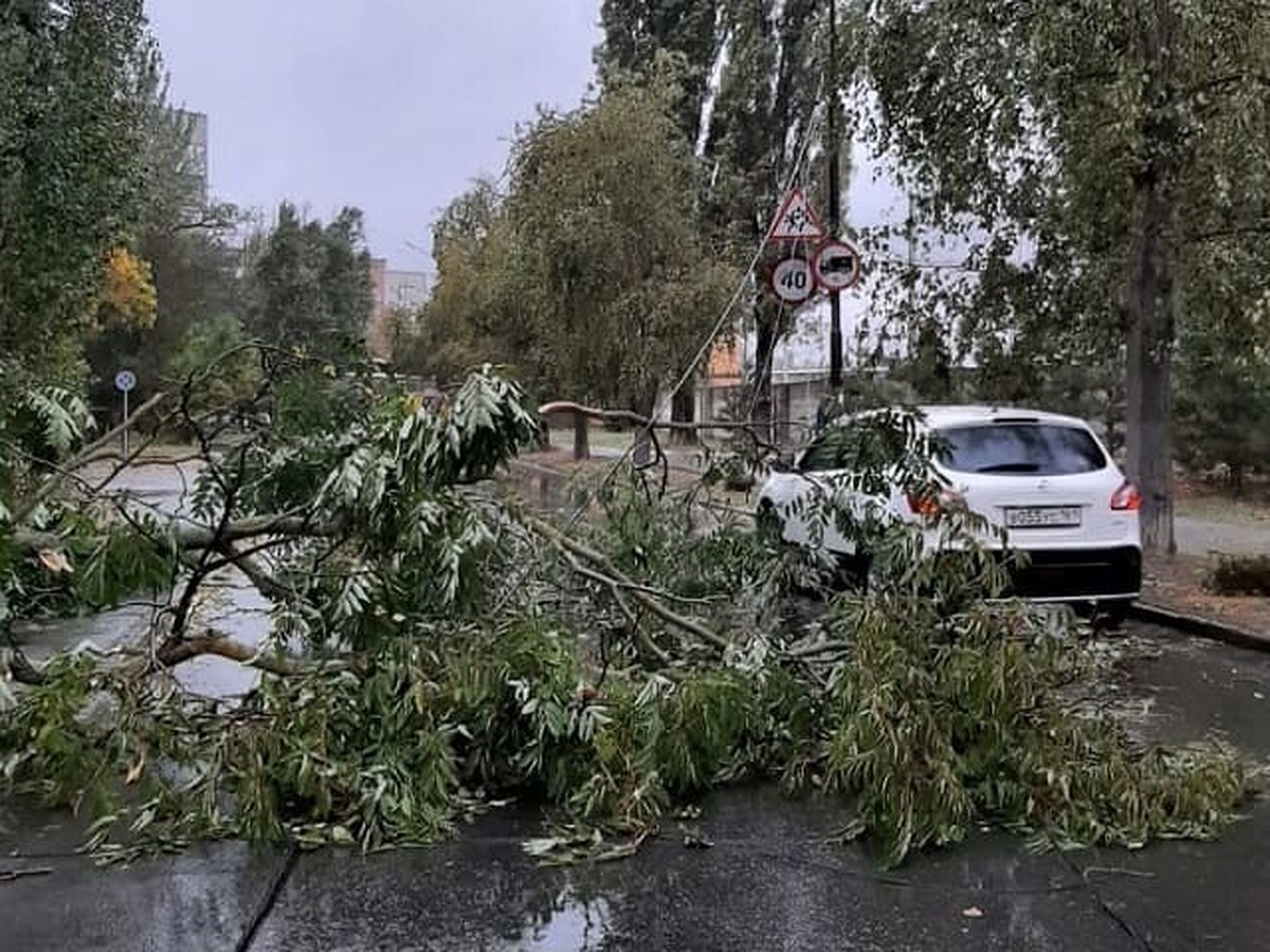 Провода рвутся, деревья падают, а реки заходят во дворы: прямая трансляция  непогоды в Ростовской области 8 октября 2023 - KP.RU