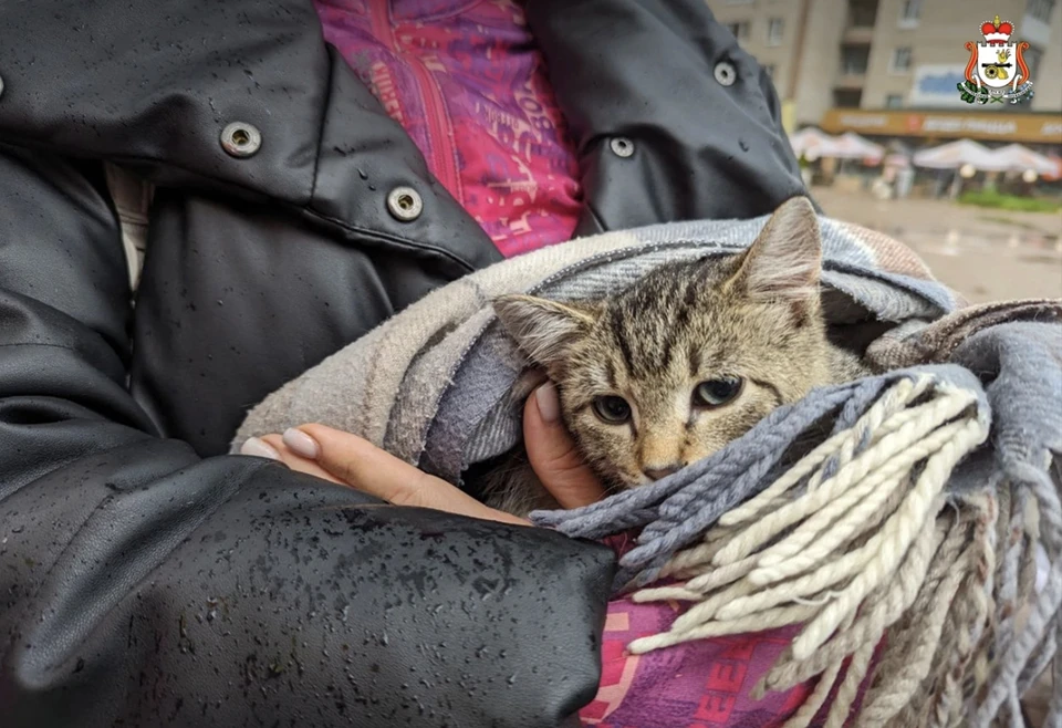 В Смоленске 13 участников выставки "Возьми друга домой" обрели семьи. Фото: пресс-служба администрации Смоленской области.