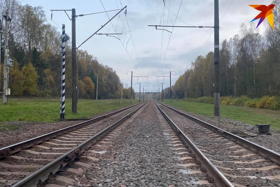 Скоростной поезд насмерть сбил 82-летнюю пенсионерку в Быхове. Снимок используется в качестве иллюстрации. Фото: архив «КП»