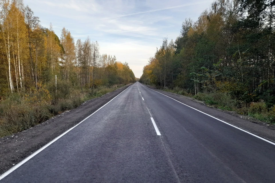 Фото Правительства Владимирской области.