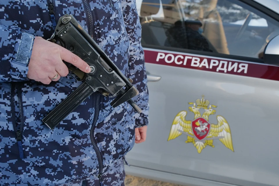 В Ульяновске мужчина похитил из гипермаркета набор для пикника и аккумулятор
