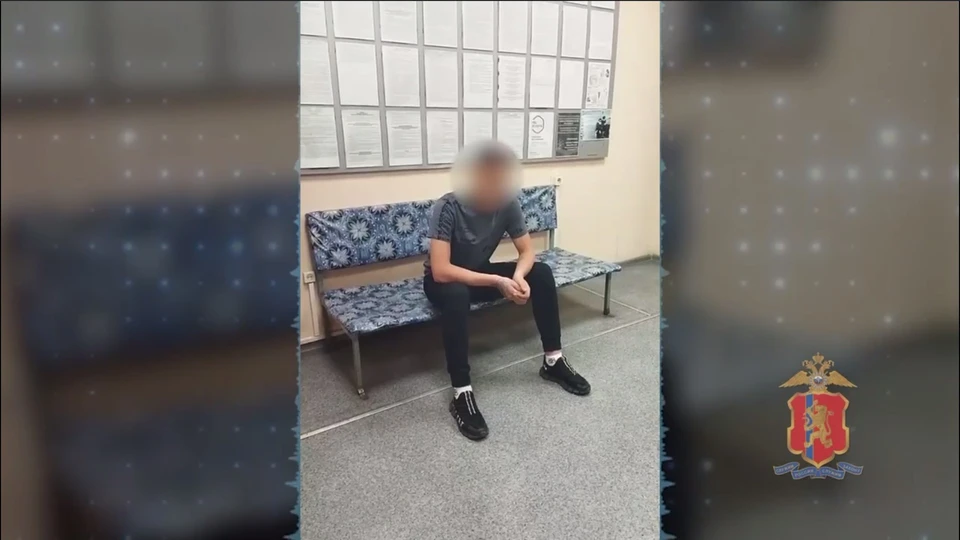 Скриншот: видео МВД по Красноярскому краю