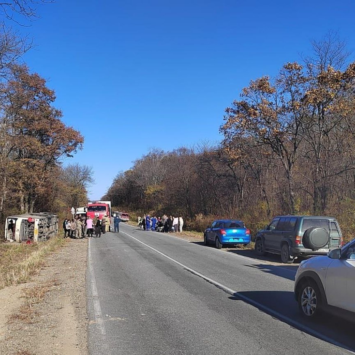 Авария автобуса в Хасанском районе Приморья: число пострадавших выросло до  30 - KP.RU