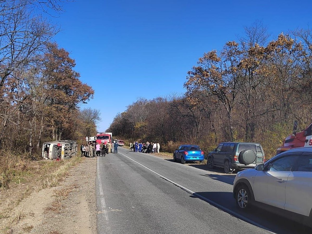 Авария автобуса в Хасанском районе Приморья: число пострадавших выросло до  30 - KP.RU