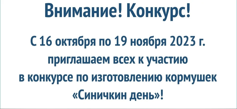Самарцы помогут птицам пережить зиму