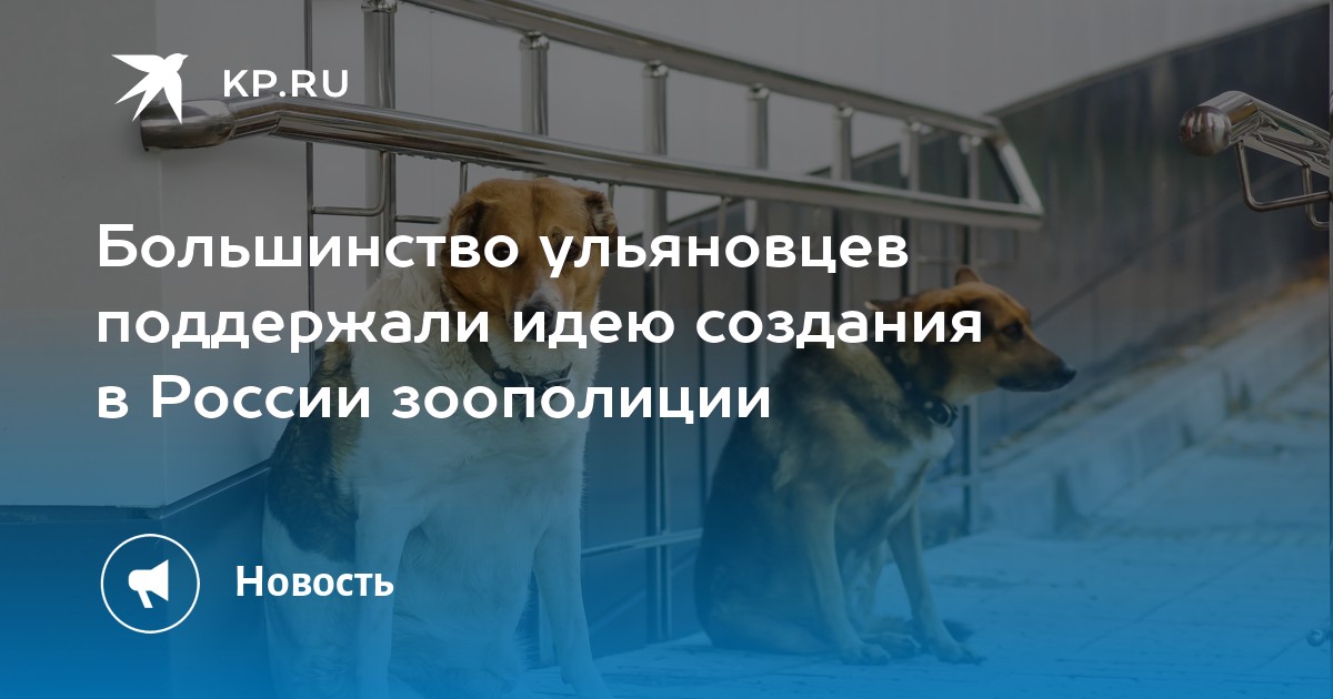 Большинство ульяновцев поддержали идею создания в России зоополиции - KP.RU