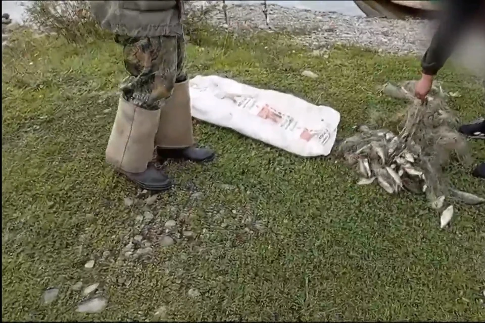 Скриншот видео