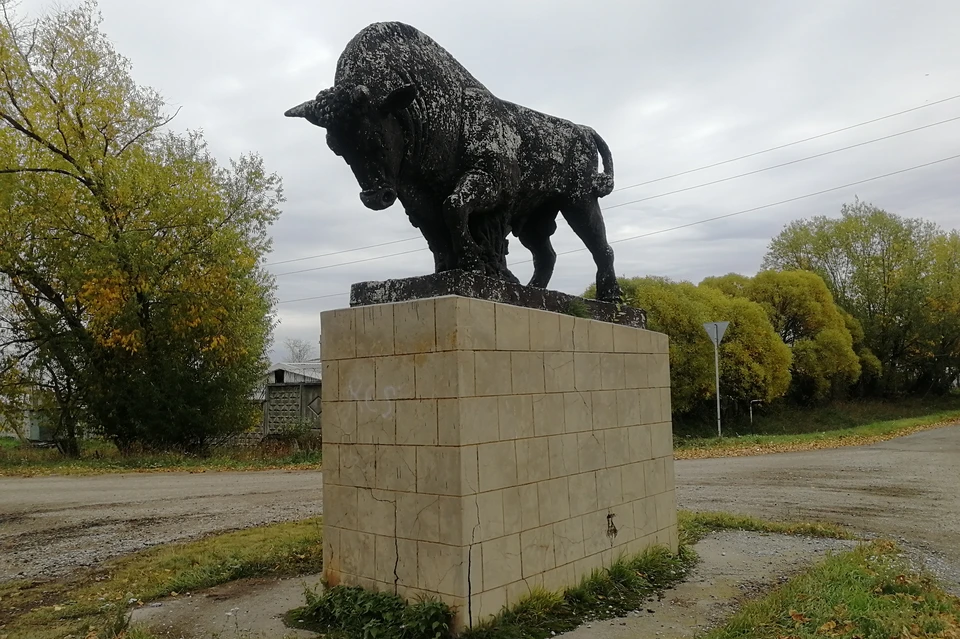 Гигантский чугунный бык при въезде на территорию комплекса — грустное напоминание о былом величии Дубровского совхоза.