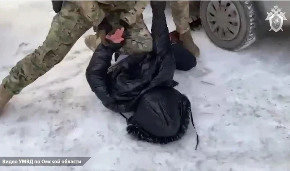 Фото: скриншот видео, предоставленного УМВД России по Омской области