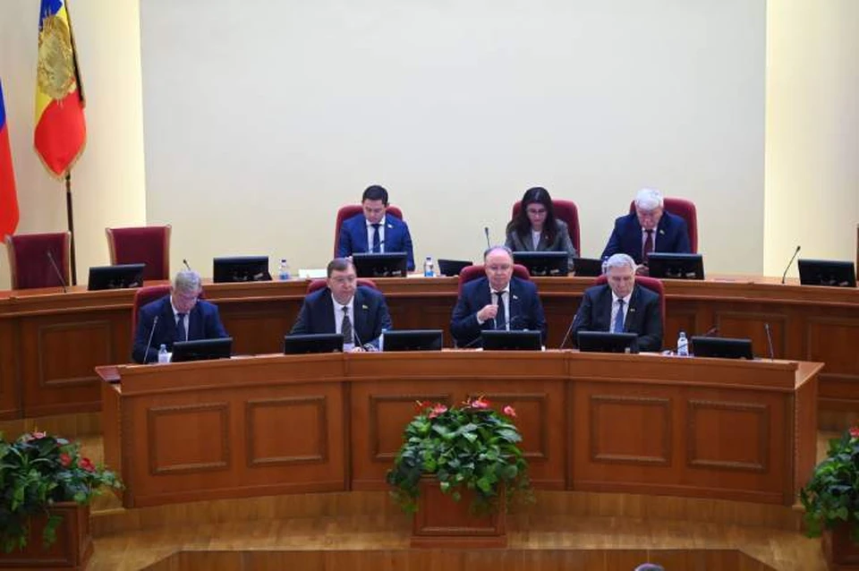 Донские парламентарии обсудили вопросы, касающиеся мер поддержки участников СВО. Фото: пресс-служба ЗС РО
