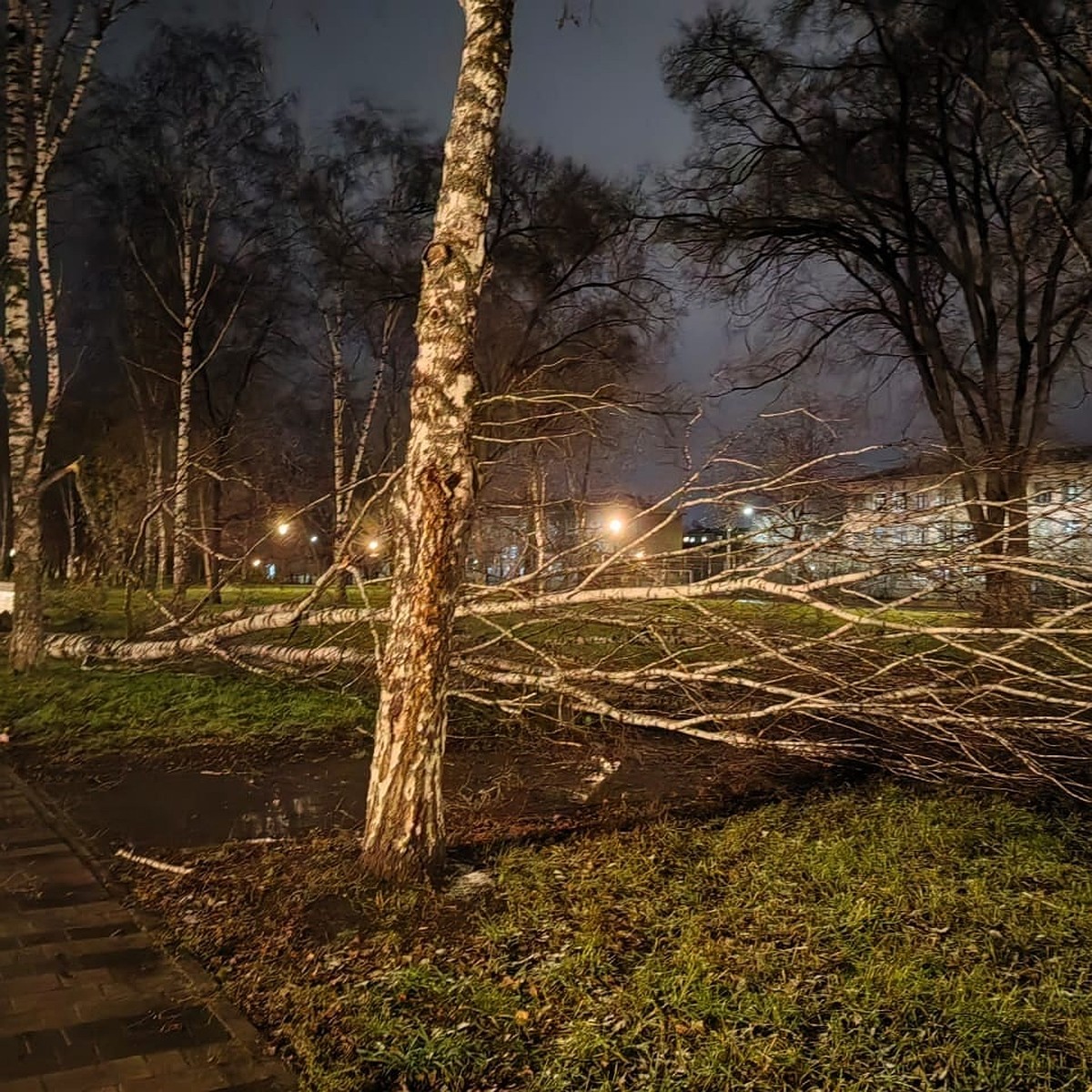 В Новокузнецке ураган оставил людей без света, снес крышу и повалил деревья  - KP.RU