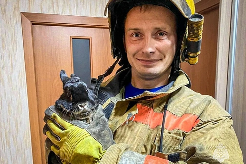 Возгорание в квартире произошло вечером 27 октября. Фото: ГУ МЧС по Пермскому краю