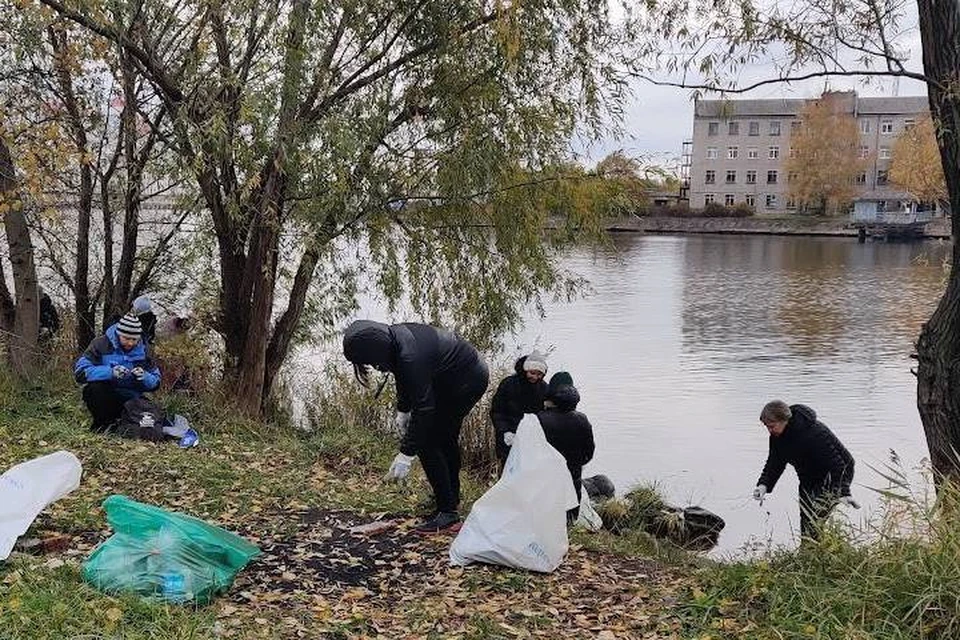 Волонтеры за работой.