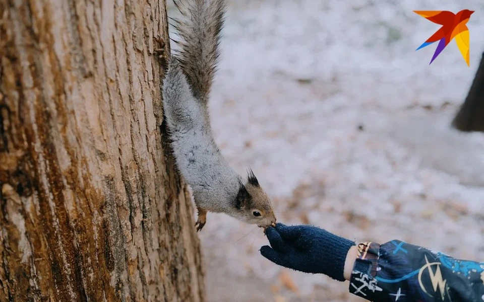 В Ижевске небольшой снег