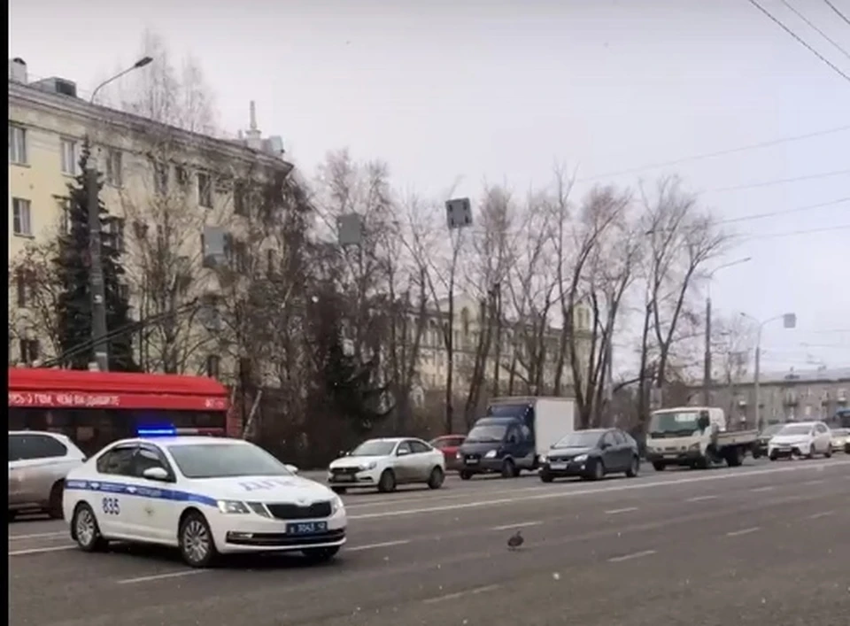 Фото: соцсети.