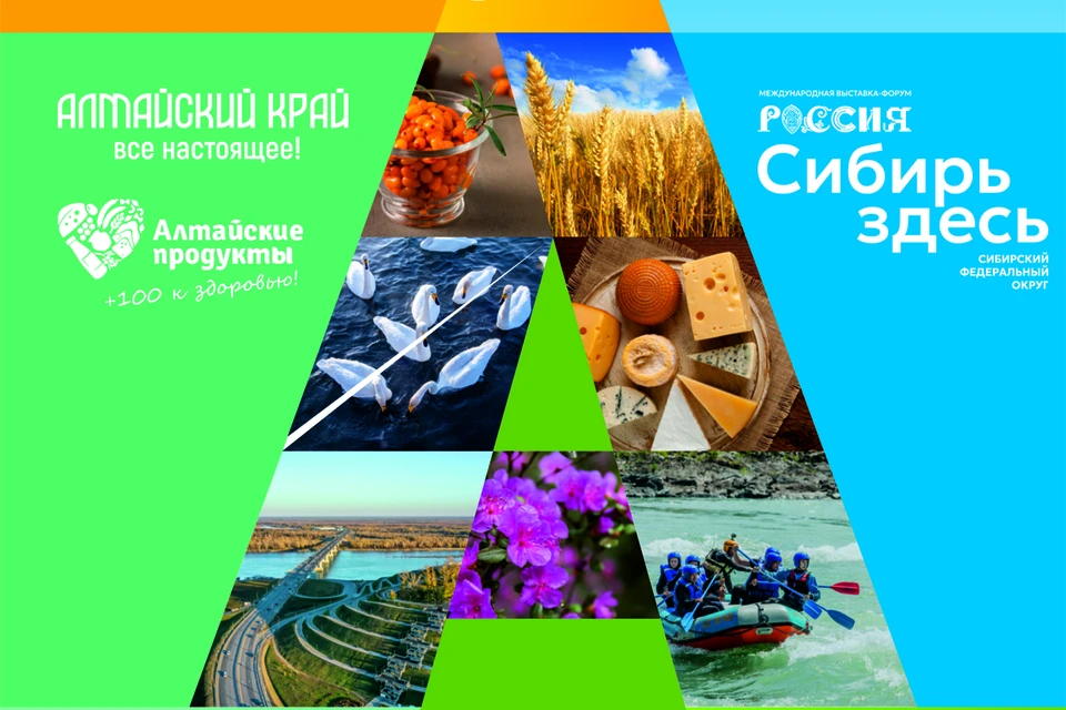 День Алтайского края пройдет на выставке-форуме «Россия» 19 ноября. Фото: пресс-служба министерства культуры Алтайского края.