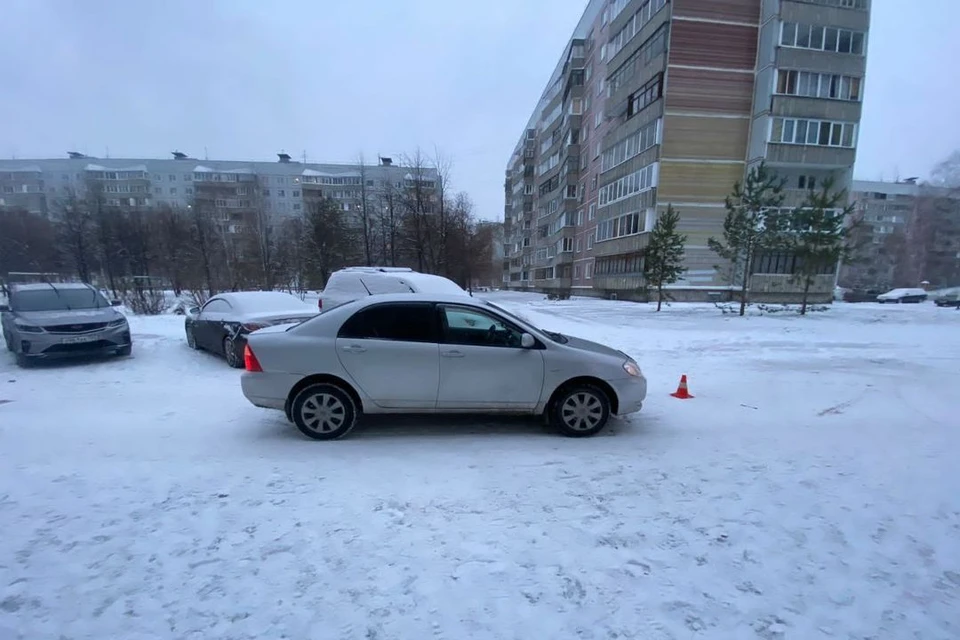 В Новосибирске иномарка сбила ребенка, выбежавшего из-за машины. Фото: Госавтоинспекция по Новосибирску