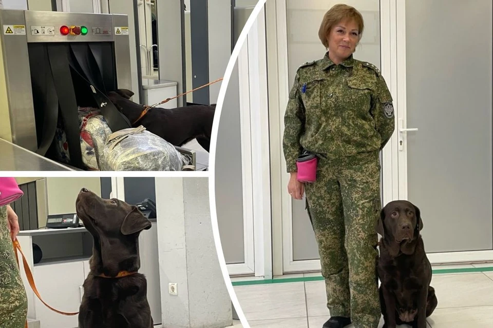Татьяна с Эммой напарницы.