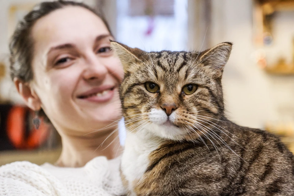 Котики оказались одним из основных критериев трудоустройства волгоградцев