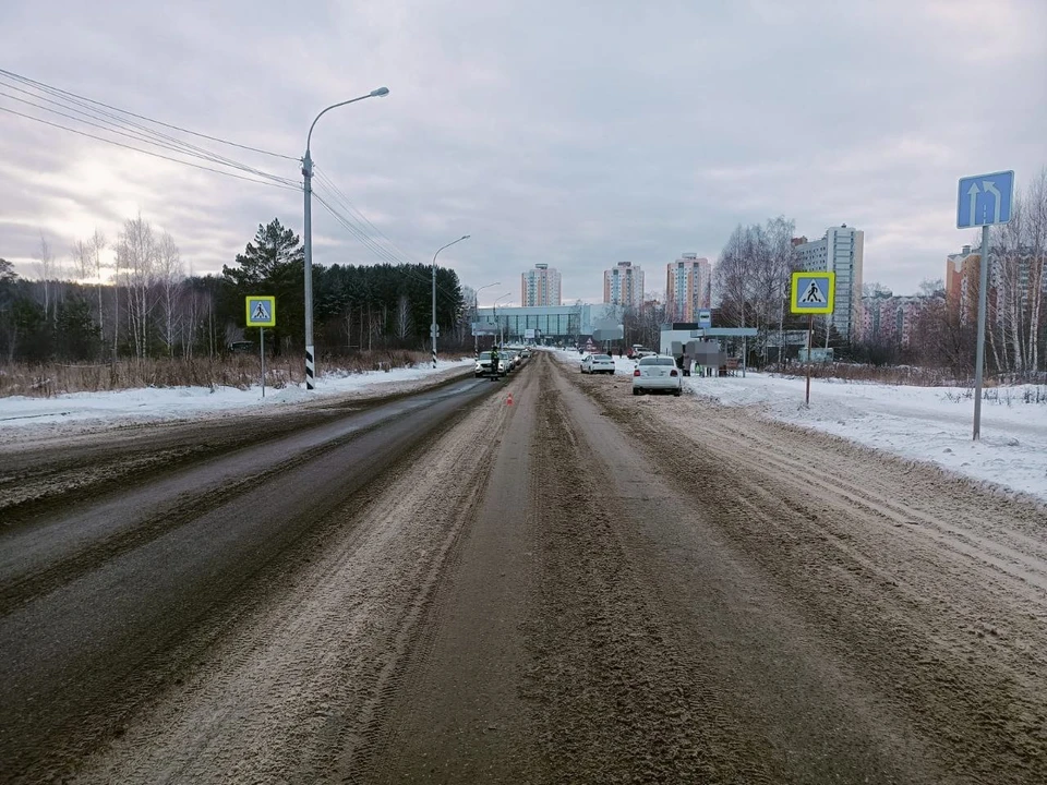 Фото: УМВД по Томской области