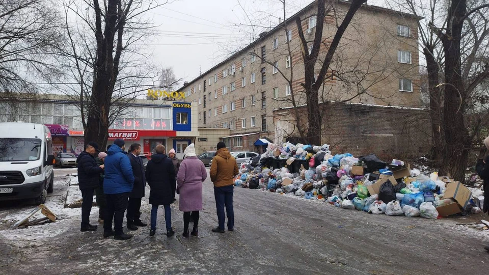 В будущем районные администрации будут контролировать уборку контейнерных площадок. Фото: Telegram-канал Дмитрия Махини
