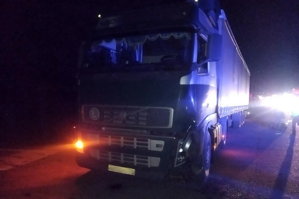 Грузовик Volvo задавил мужчину на трассе «Каспий» в Рязанской области. Фото: УМВД по Рязанской области.