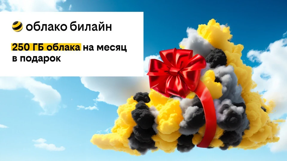 Фото: источник «пресс-служба билайна»