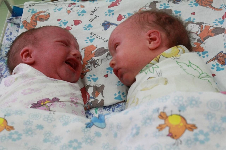 Благодаря ЭКО на свет появилось 1192 новорожденных. Фото: пресс-службы администрации Краснодарского края.