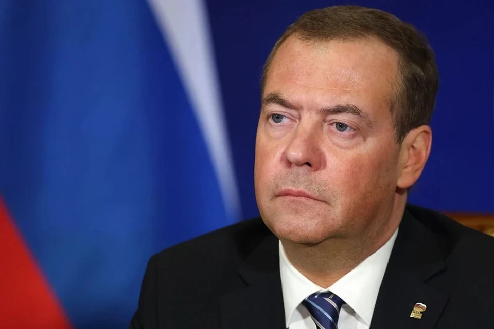 Медведев заявил, что Украина и Молдавия обескровят Евросоюз, фото: Екатерина Штукина/POOL/ТАСС