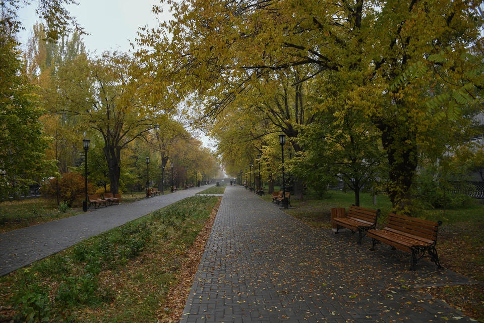 До конца ноября в Волгограде будет тепло и дождливо