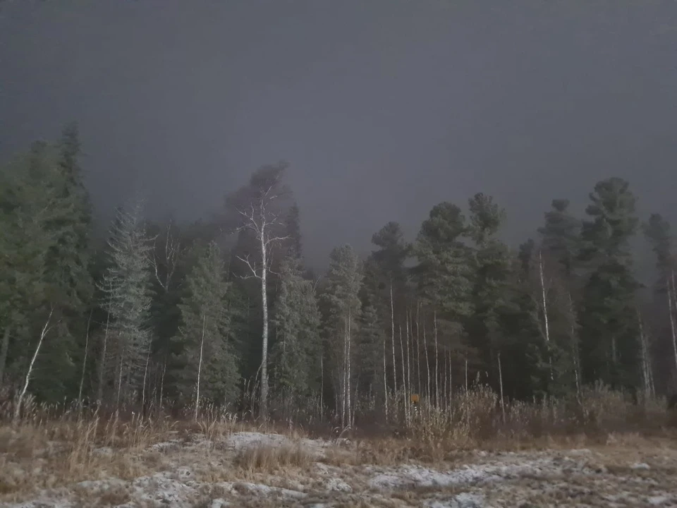 На Ямале сегодня ветрено, скользко и снежно