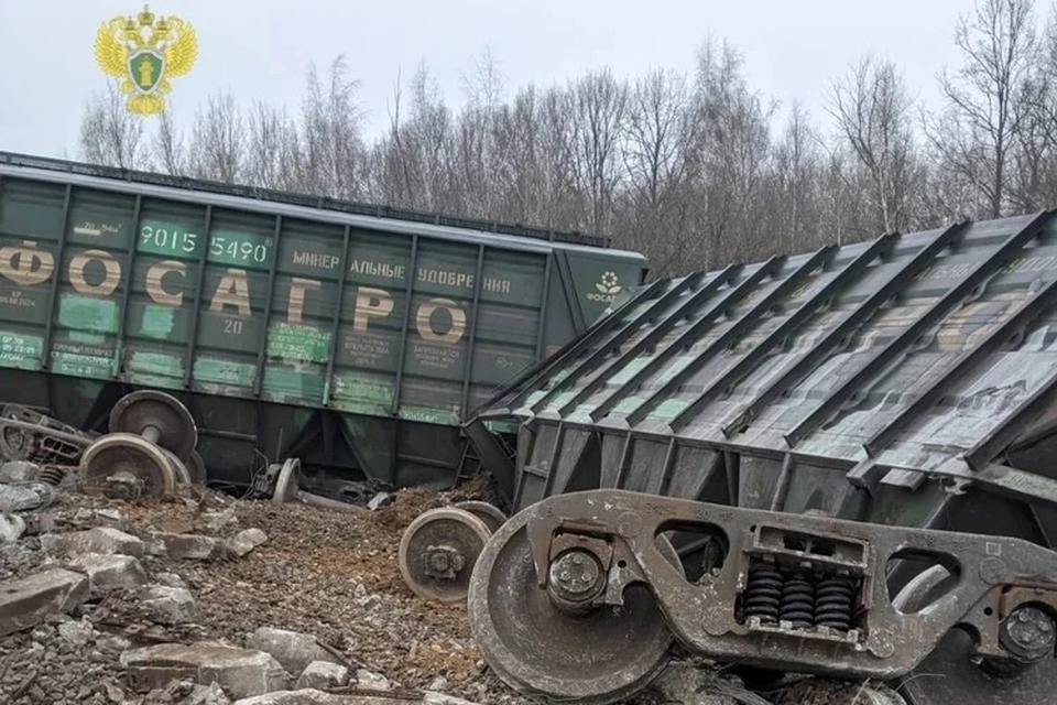 Подрыв железной дороги со сходом вагонов под Рязанью признан терактом.