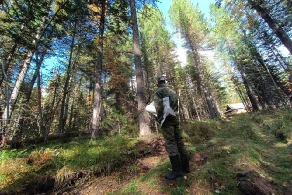 Охотники нашли в лесополосе тело студента, который пропал еще в августе