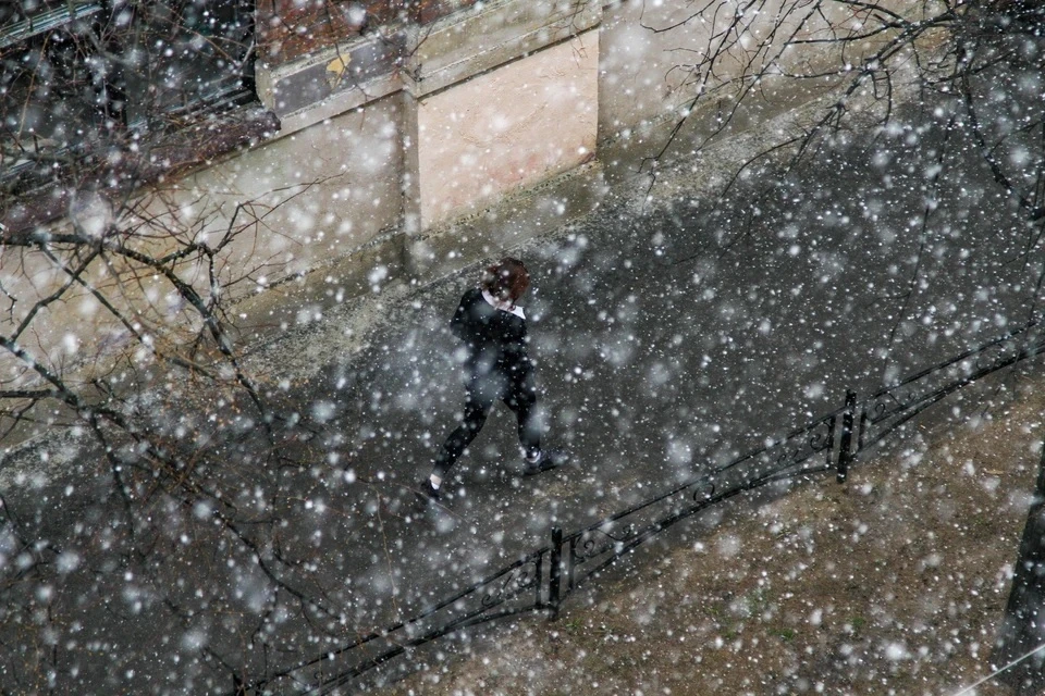 Дождь с мокрым снегом пообещал синоптик Леус в Московском регионе